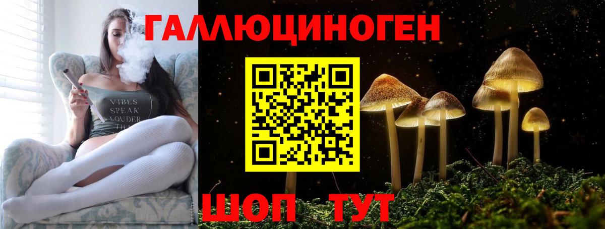 Калач-на-Дону  Галлюциногенные грибы GOLDEN TEACHER  Вход с VPN  Псилоцибиновые грибы Cubensis 